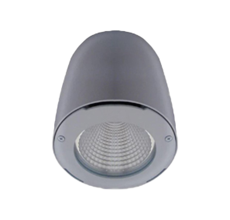 Surface Mounted Lights