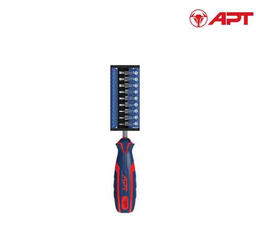 2 Color Screwdriver + Bits 31 pcs - APT - AH145377-31