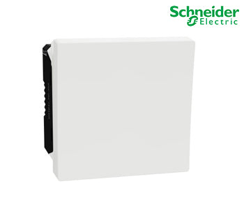 Disconnect Switch, Schneider Miluz E, 32AX, 250V, 2 Module, White - M3TB31_DP_32A