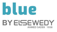 Blue Logo